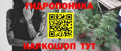 гидропоника Пыть-Ях