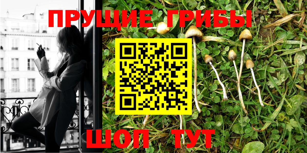 Скопин  Псилоцибиновые грибы Magic Shrooms  Вход с VPN  Псилоцибиновые грибы мухоморы 